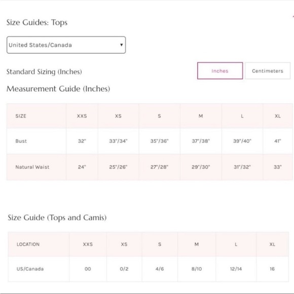 FREE PEOPLE Tank | FP Right Rhythm Sequin Cami / Champagne Pink Lace NWT - Picture 10 of 10